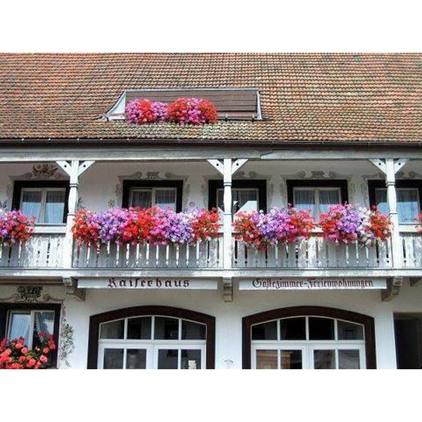 HôTel à Waldshut à Partir De 78€ Par Nuit-image