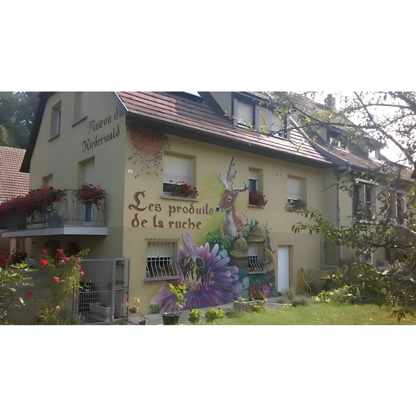 HôTel à Alsace à Partir De 115€ Par Nuit-image