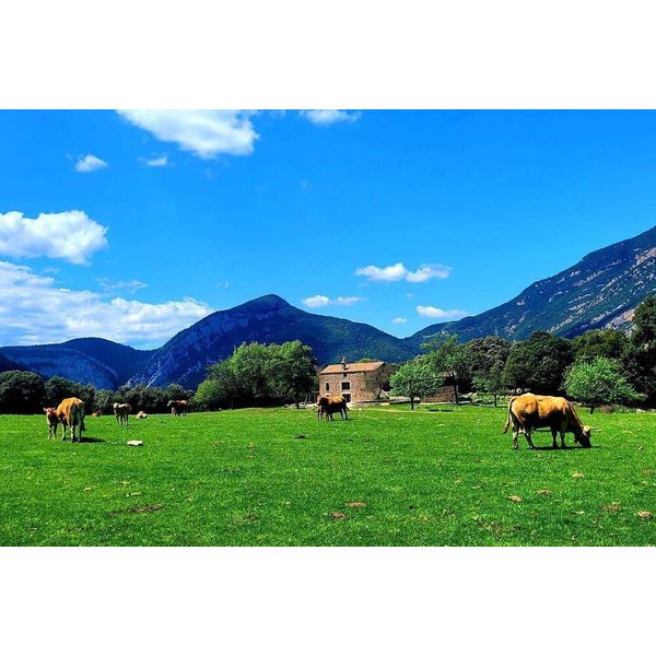 Maison De Vacances à Garrotxa à Partir De 581€ Par Nuit-image