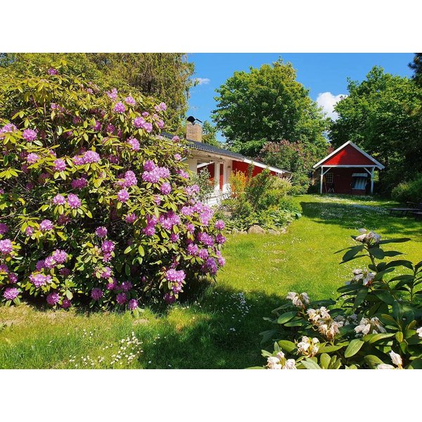 Maison De Vacances à Schlei à Partir De 116€ Par Nuit-image