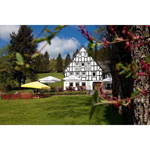 HôTel à Siegerland à Partir De 90€ Par Nuit-image