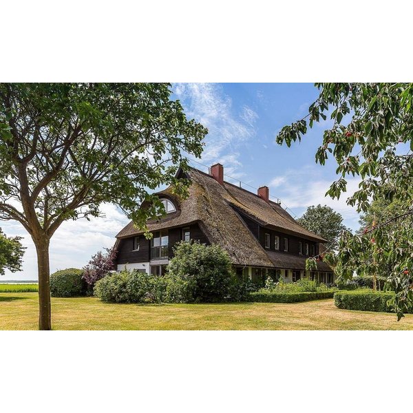 Appartement De Vacances à Wustrow à Partir De 216€ Par Nuit-image