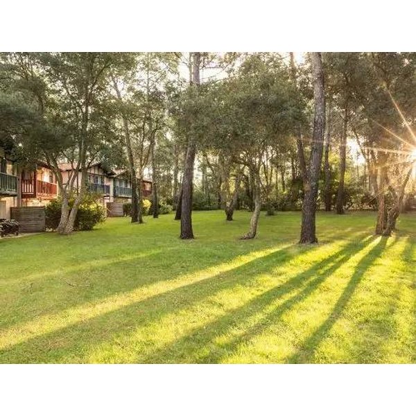 Appartement De Vacances à Landes à Partir De 161€ Par Nuit-image