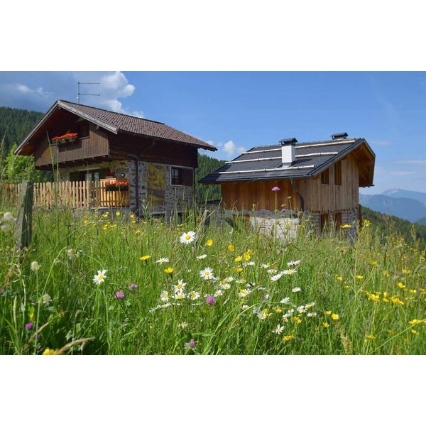 Maison De Vacances à Trentino à Partir De 138€ Par Nuit-image