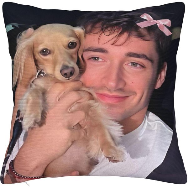 Poszewki Na Poduszki C-Charles Leclerc Nadruk Termotransferowy Poszewka Na Poduszkę Dekoracja Poszewka Na Poduszkę Dekoracyjną SamochóD Wiele RozmiaróW 30X50Cm-image