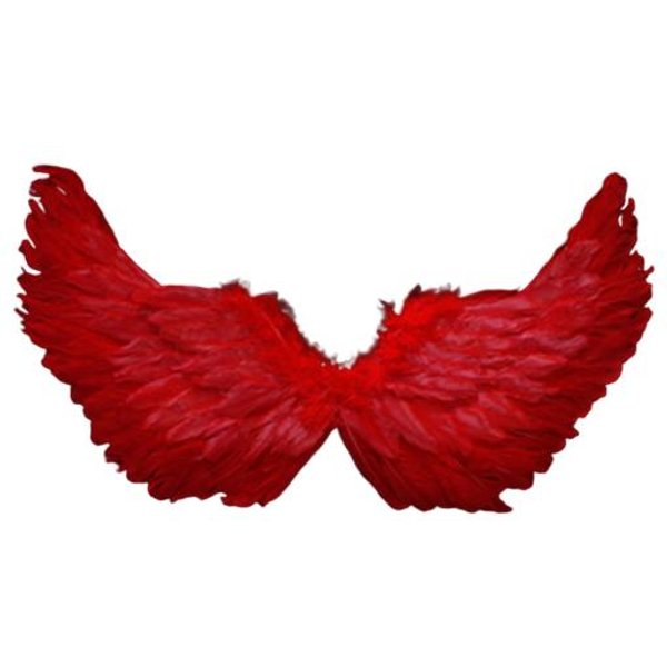 Alas De Plumas De ÁNgel Con Correas EláSticas Color Brillante Ligero Disfraz Cosplay Alas-image