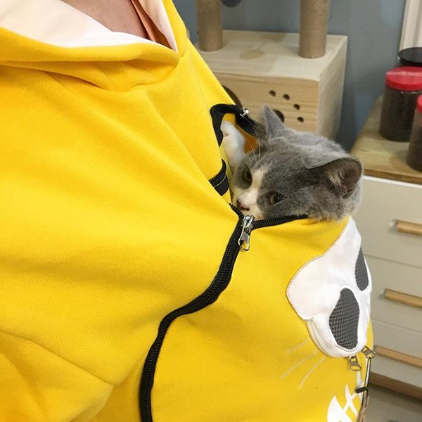 Bluza Z Kapturem Dla MiłOśNikóW KotóW, Bluza Z Kapturem Dla PsóW I KotóW, Kangur, łApa Zwierzaka, Przytulanka, Kieszeń, Bluza Z Kapturem, Uszy ZwierzęCia Xxxl-image