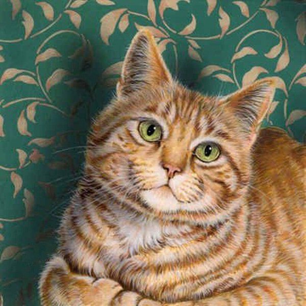 DIY 5D Pintura De Diamante Gato Taladro Redondo Completo Diamantes De ImitacióN Bordado Punto De Cruz 30X30Cm-image