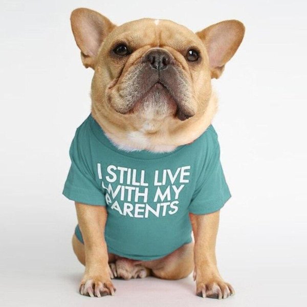 OddychająCa Odzież Dla PsóW Odzież Dla MałYch PsóW Nadrukowane Litery Odzież Dla PsóW Buldog Francuski Chihuahua Letnia Kamizelka Dla Psa T-Shirt S-image