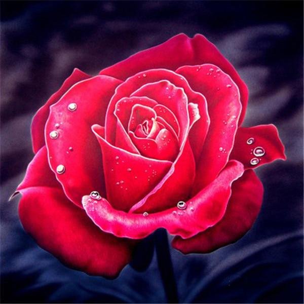 5D Diamentowe Malowanie KwiatóW ZdjęCia Diamentowa Mozaika śCiegiem KrzyżYkowym Diamentowa Haftowana RóżA 30X40CM-image