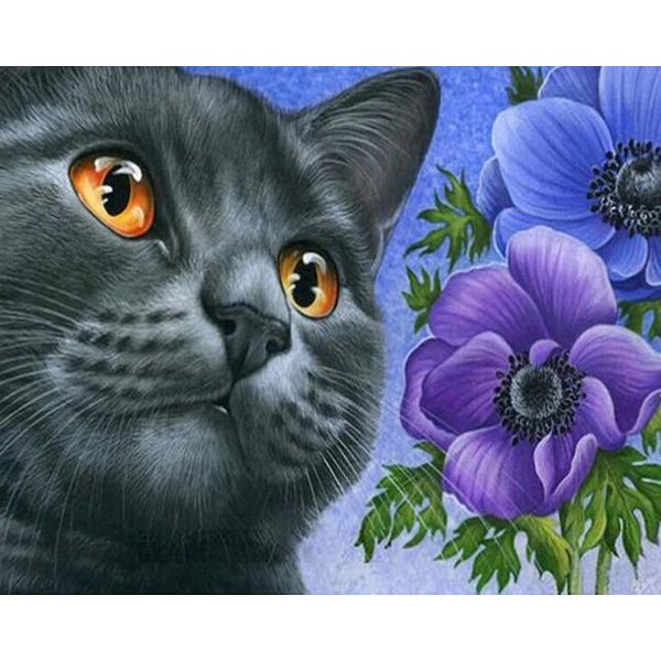 Pintura De Diamantes 5D DIY Punto De Cruz Gato Negro Completo Animal Regalo Bordado De Diamantes 20X30-image