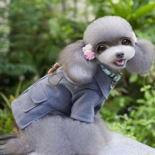 Abrigo De Lana OtoñO Invierno Para Mascotas Ropa Para Mascotas Abrigo Para Perro Cortavientos Para Perro Lindo Abrigo Para Salir SuéTer Para Perro Para Perros PequeñOs Ropa Para Cachorros XL-image