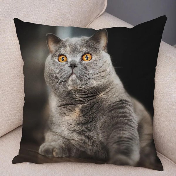 Niebieska Poszewka Na Poduszkę Dekoracyjną British Shorthair Z Nadrukiem KróTkiego Pluszu Do Dekoracji Sofy W Salonie Poszewka Na Poduszkę Poszewki Na Poduszki 45X45Cm-image