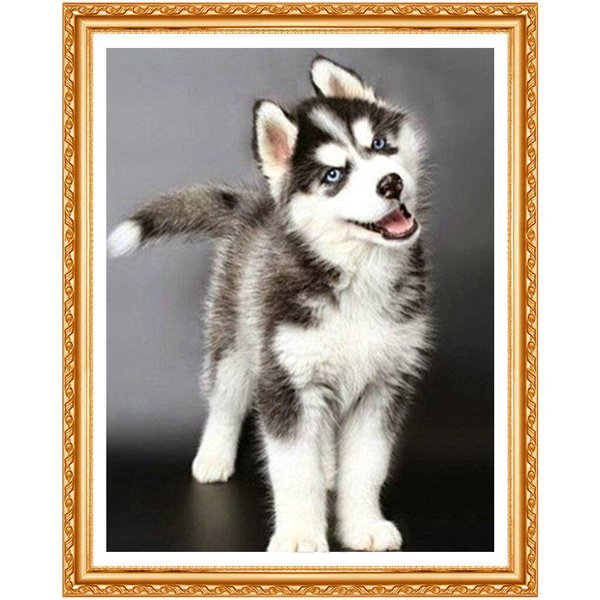 Diy, Haft Diamentowy Husky, Pies, 5D Diamentowe Malowanie ZwierzęTa PełNe Diamentowe DżEtóW śCiegiem KrzyżYkowym! 20X30CM Gray-image