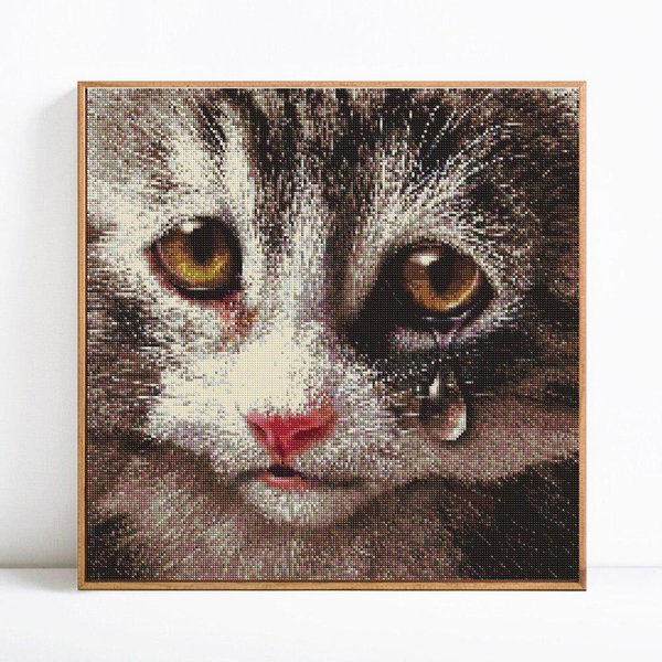 Pintura De Diamantes 5D DIY Animal Gato Diamante De ImitacióN Redondo Completo Imagen Bordado 30X30-image