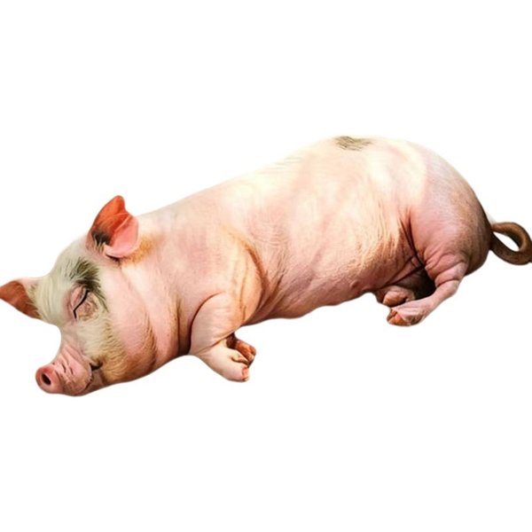 CojíN De Peluche Rosa Cerdo Simulado 25/60Cm Manta Almohada Rellena Animal Salvaje CojíN Soporte Lumbar Peluche DecoracióN Sofá Silla Regalo Hombre 25Cm Beige-image