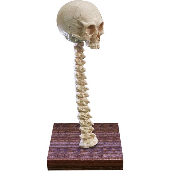 LáMpara De Esqueleto Para Halloween, LáMpara LED 3D De Esqueleto, Adorno De Casa Encantada, Regalos De UtileríA Para CumpleañOs-image
