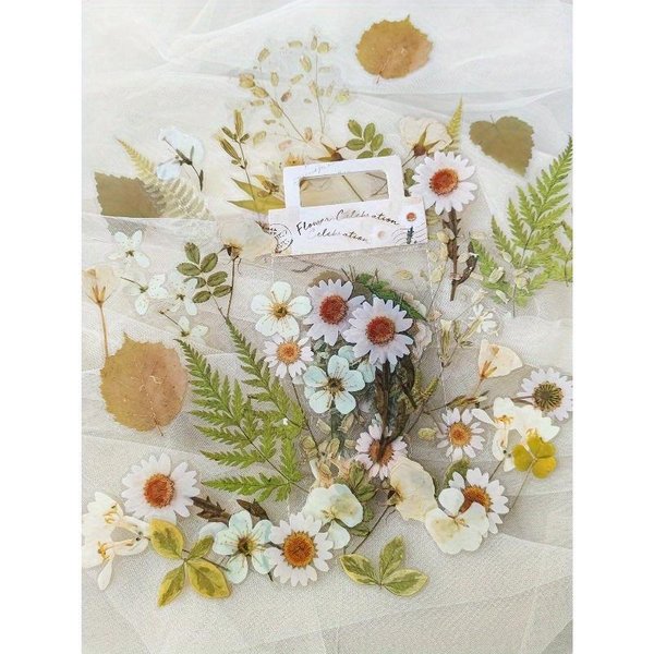 1 Juego De 40 Piezas De Pegatinas Florales Y De Plantas Para Mascotas Estilo Retro Para Scrapbooking, Diario Y Manualidades DIY Vuelta Al Cole One-Size Varios Colores-image