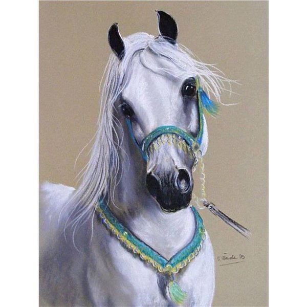 Pintura De Diamantes Caballos Bordado De Diamantes Mosaico Animales 5D Diy Kits De Arte 20X30CM-image