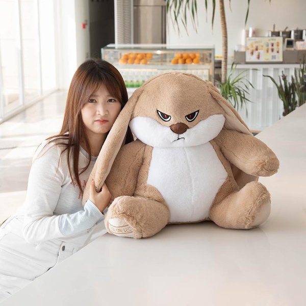 DużY Rozmiar ZłY KróLik Pluszowa Zabawka Urocza ZwierzęCa Pluszowa Lalka Kawaii Wypchane MięKkie Zabawki Model Dekoracja Pokoju Prezenty Urodzinowe 45Cm-image