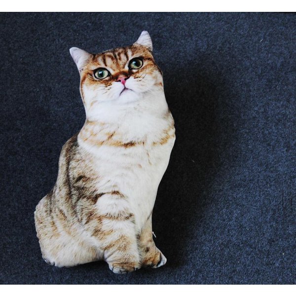 Juguetes De Peluche De Gato 3D Lindos Y Realistas De 50 Cm MuñEco De Animal Suave Relleno Almohada De Dormir De SimulacióN CojíN De Sofá MuñEco De Dibujos Animados DecoracióN Del Hogar Regalo-image