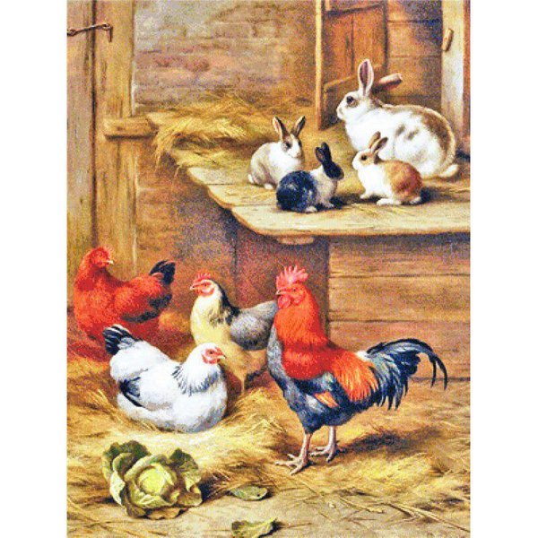 5D DIY Diamante Pintura Pollo Completo Redondo Taladro Diamante Bordado 20X30CM-image