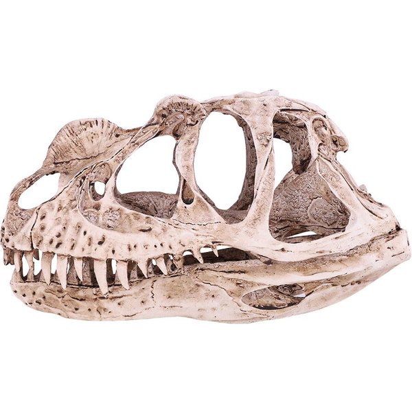 Modelo De CráNeo De Dinosaurio De Resina Esqueleto De Animal Simulado DecoracióN Para Hogar Oficina ArtesaníA UtileríA De EnseñAnza-image