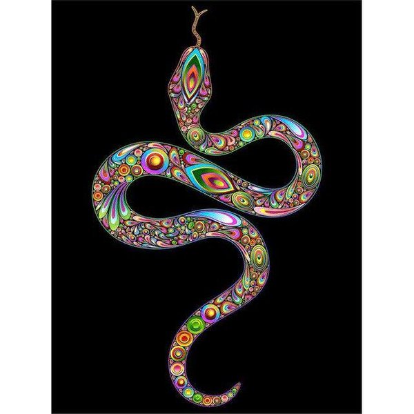 5D Diament Malarstwo WężA ZdjęCia DżEtóW Diament Haft ZwierzęTa Malarstwo Home Decor 20X30CM Gray-image