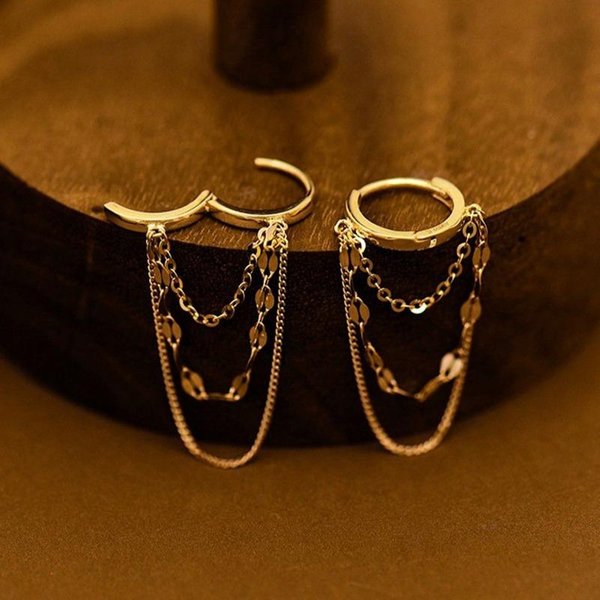 1 Par De Pendientes De Aro Con Cadena Delicada De Acero Inoxidable Para Mujeres NiñAs Moda Diaria JoyeríA Regalo Para Ella Tassel Earrings Oro-image