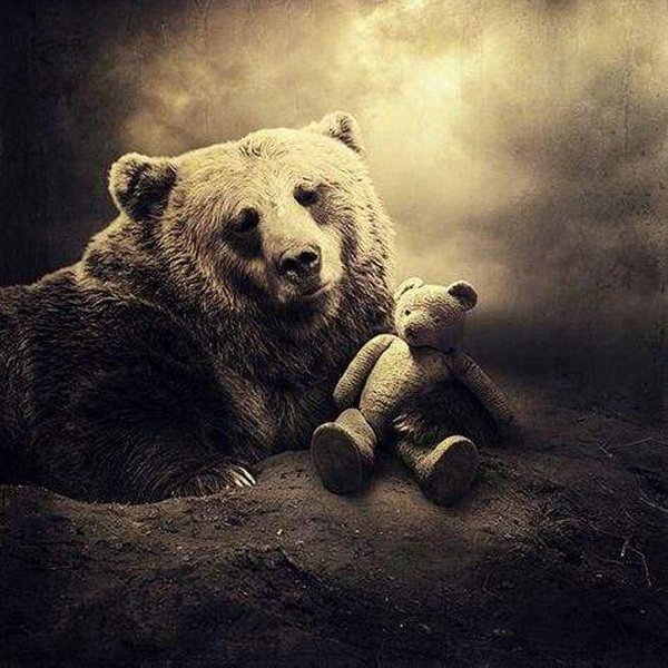 Bordado De Diamantes, Pintura Artesanal, Bordado De Diamantes De ImitacióN, Pintura De Diamantes 5D, Dos Peluches, Artes De Pared 30X30Cm-image