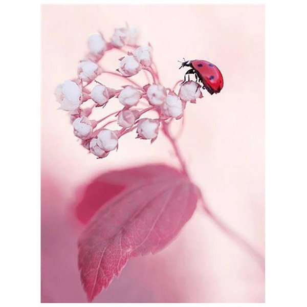 Taladro Completo Punto De Cruz DecoracióN Del Hogar Diamante Coccinella Flor Imagen Bordado Pintura 20X30CM-image