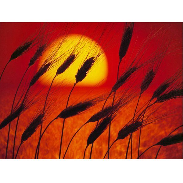 PedreríA 5D Pintura Diamante Artesanal Kits De Bordado De Diamantes DIY Hermoso Atardecer EscéNico Diamante 20X30CM-image