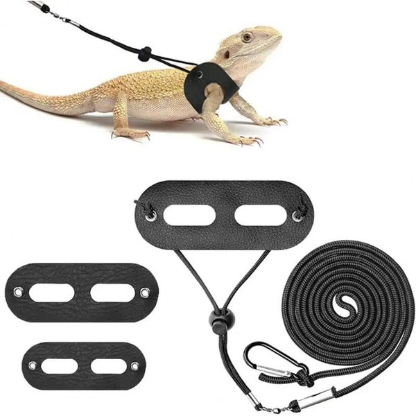 Cuerda De TraccióN Para Lagartos Cuerda De TraccióN Para Mascotas PequeñAs Cuerda De TraccióN Para Lagartos Que Se Arrastran Al Salir Cuerda De TraccióN Para Mascotas PequeñAs Negro-image