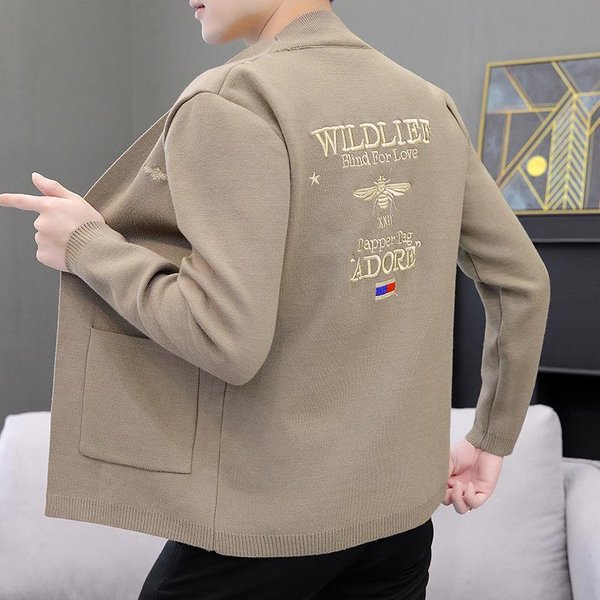 CáRdigan De Punto Para Hombre De Tendencia Primavera Y OtoñO, Nuevo, Para Hombre, VersióN Juvenil Coreana, Abrigo De SuéTer Bordado Para Hombre 2XL Gray-image
