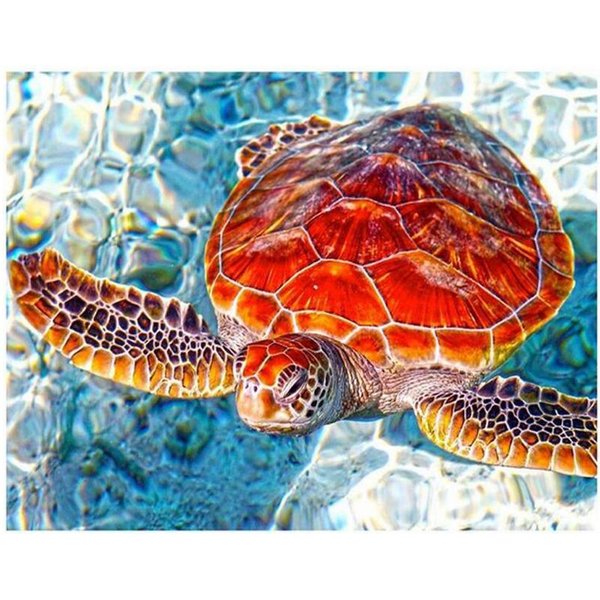 5D DIY Diamante Bordado Completo Redondo Tortuga Marina Patrones Diamante Pintura Punto De Cruz 20X30CM-image