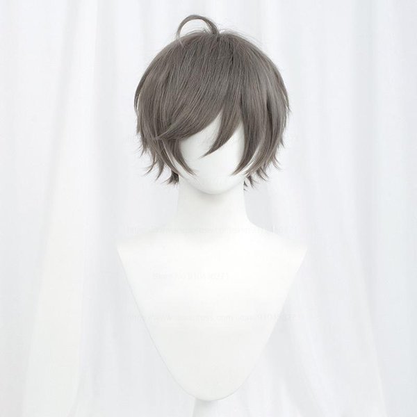 KróTka Prosta Peruka Cosplay BiałA Zielona Fioletowa BrąZowa Czarna Niebieska Szara Blond PomarańCzowa Czerwona ZłOta Puszysta Odporna Na CiepłO WłOsy Peruki Anime One Size Light W Kolorze Szarym-image