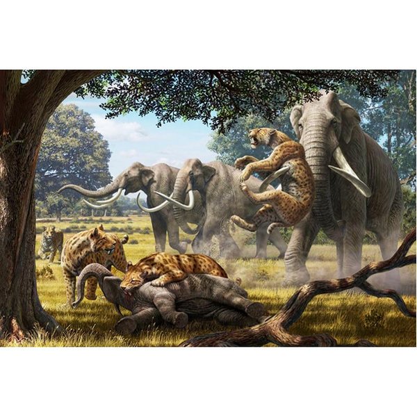 Pintura De Diamantes Elefante Leopardo Bordado De Diamantes Bordado ArtesaníAs Animal Diamante Arte De Pared 20X30CM-image