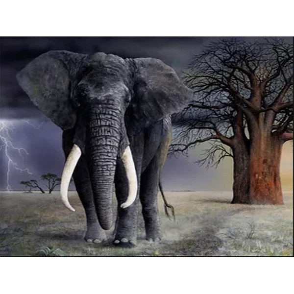 Diamante Circular Completo 5D DIY Pintura De Diamantes Elefante Arte De Bordado De Diamantes Punto De Cruz 50X70CM-image