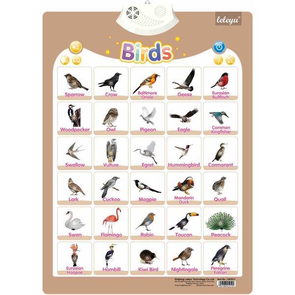 PóSter Parlante De Pared Con NúMeros PóSter Interactivo Alfabeto Para NiñOs PequeñOs Aprendizaje Regalo Educativo Para NiñOs NiñAs Edades Sonidos De Letras Beige-image