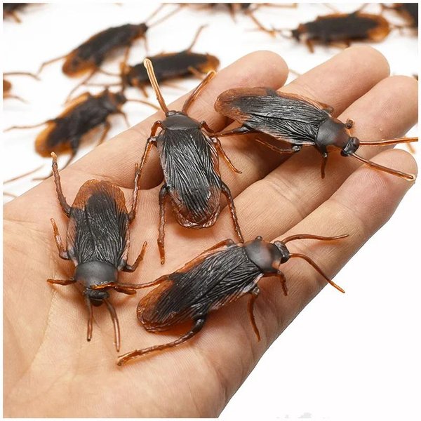 SimulacióN Modelo Realista Especial Goma Falsa Pene Cucaracha Cucaracha Insecto Cucarachas Juguete Broma Truco Divertido Juguetes De Broma Broma Del DíA De Los Inocentes 10 Pcs-image