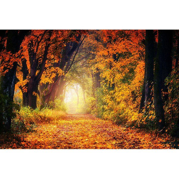 Taladro Redondo DIY Diamante Pintura OtoñO Paisaje Punto De Cruz Paisaje Diamante Bordado 20X30CM-image