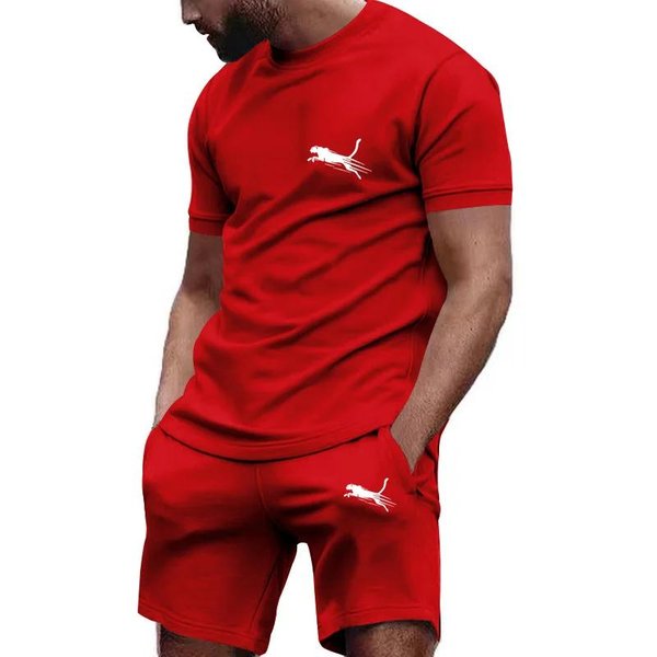 MęSki Letni Garnitur Sportowy MęSki Garnitur Fitness Garnitur Sportowy T-Shirt Z KróTkim RęKawem + Szorty SzybkoschnąCe Zestawy 2-CzęśCiowe L-image