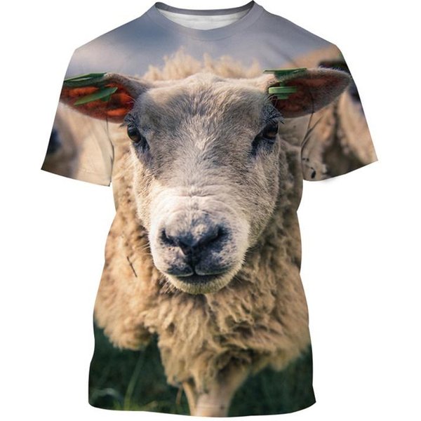 Zabawna Koszulka Z Nadrukiem 3D ZwierzęCa Owca MęSka Damska Letnia Codzienna Z KróTkim RęKawem OkrąGłY Dekolt T-Shirt Streetwear Topy T-Shirty Odzież MęSka 110-image