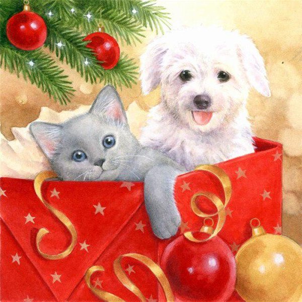Pintura De Diamantes DIY 5D Regalo De Navidad Bordado De Diamantes Mosaico De PedreríA DecoracióN Del Hogar 20X30CM-image