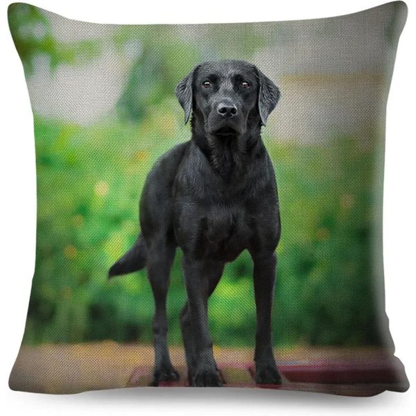 Uroczy Czarny Labrador Pies Dwustronnie Drukowana Poszewka Na Poduszkę KróTki Plusz Odpowiednia Do SalonóW Sypialni Sof Poduszka Dekoracyjna Poszewka 35X35Cm-image