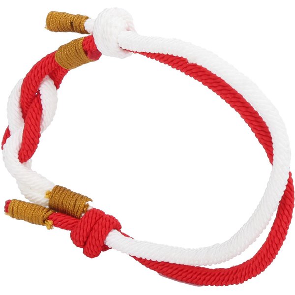 Pulsera Para Pareja Tejida A Mano Ajustable Bicolor Delicada Cuerda Trenzada Pulsera Cuerda Para Parejas Amantes(Rojo )-image
