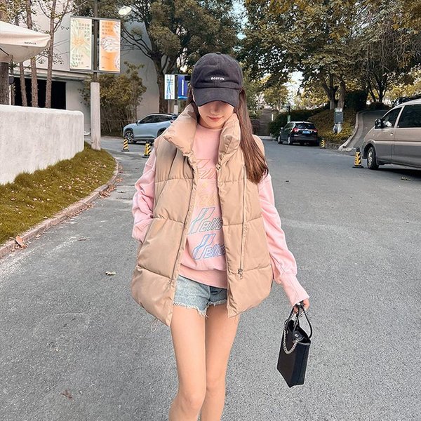 Chaqueta Sin Mangas Para Mujer, Prenda Exterior De Moda, Chaleco De AlgodóN, Chaleco Grueso De OtoñO E Invierno, Chaleco Holgado De AlgodóN Con Cuello Alto. XL-image