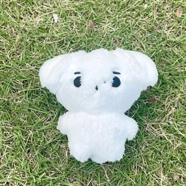 Kpop Pluszowa Jungwon Heeseung Jay Jake Sunghoon Pluszowe Zabawki Brelok Kawaii KreskóWkowy Wisiorek Akcesoria Torba Prezent Dla FanóW 0-10Cm Orchidea-image