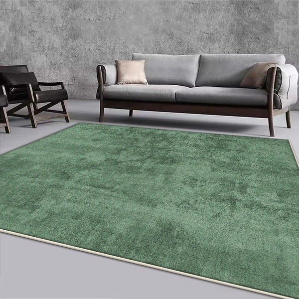 Nowoczesny Szary Dywan Dekoracyjny Do Salonu DużY Obszar MięKki Dywan Wypoczynkowy Nordic Proste Dywany Do Sypialni Zmywalna AntypośLizgowa Mata PodłOgowa 80*160Cm-image