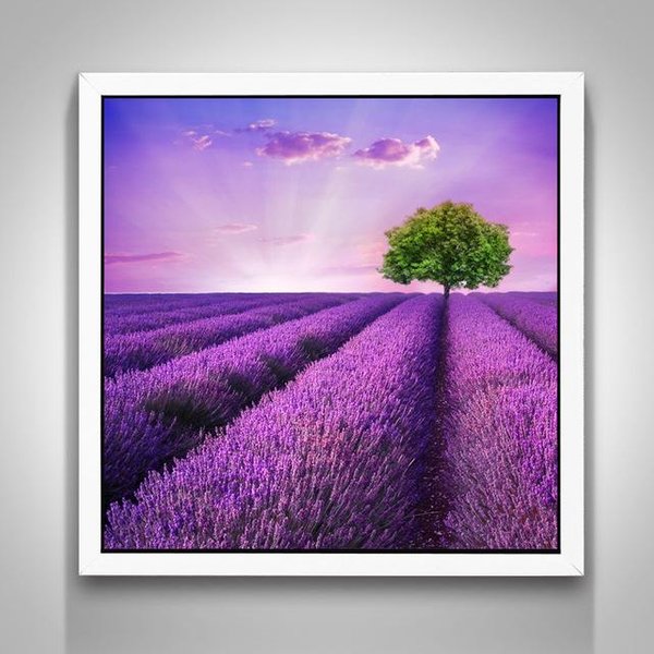 Pintura De Diamantes 5D DIY Punto De Cruz Lavanda Pintura De PedreríA Mosaico De Diamantes DecoracióN Del Hogar 30X30CM-image